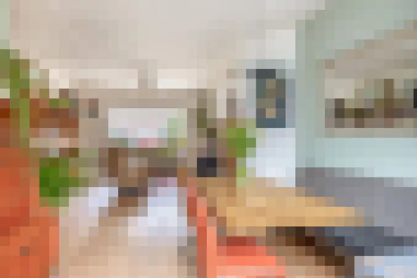 Bonfut 17 Berkel en Rodenrijs thumbnail 13