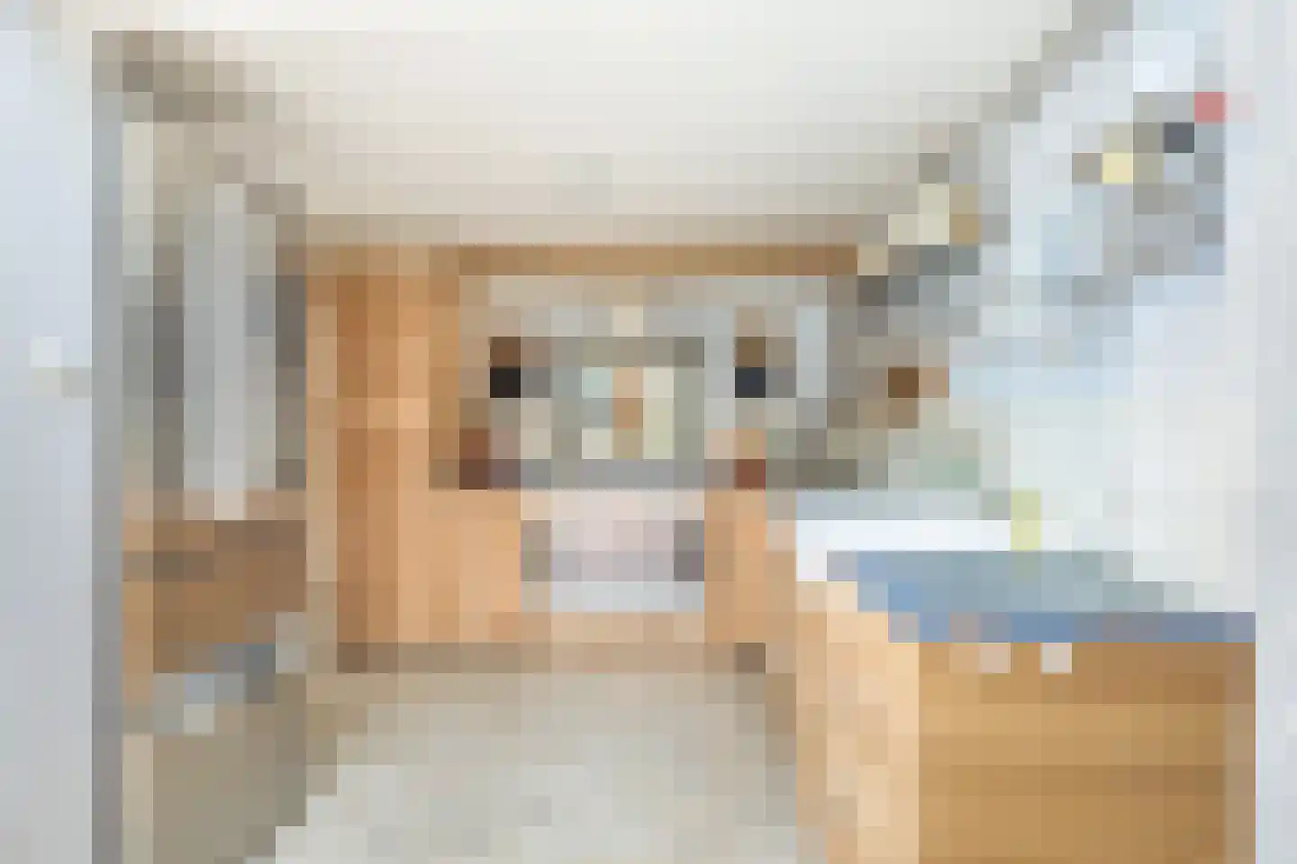 Bonfut 17 Berkel en Rodenrijs thumbnail 18