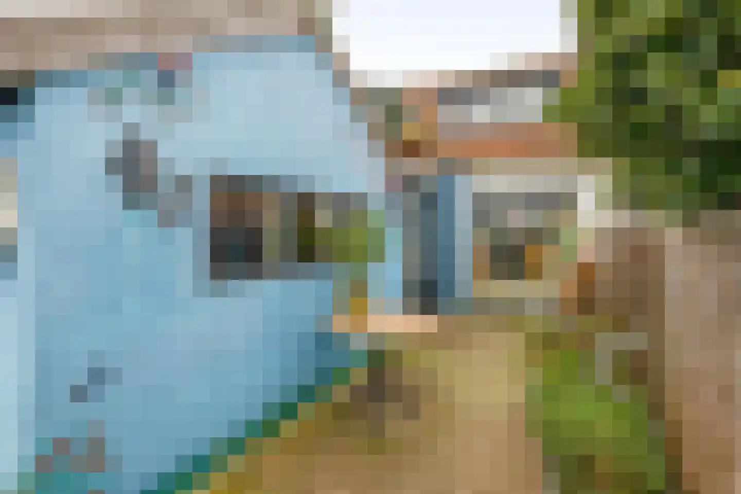 Bonfut 17 Berkel en Rodenrijs thumbnail 27