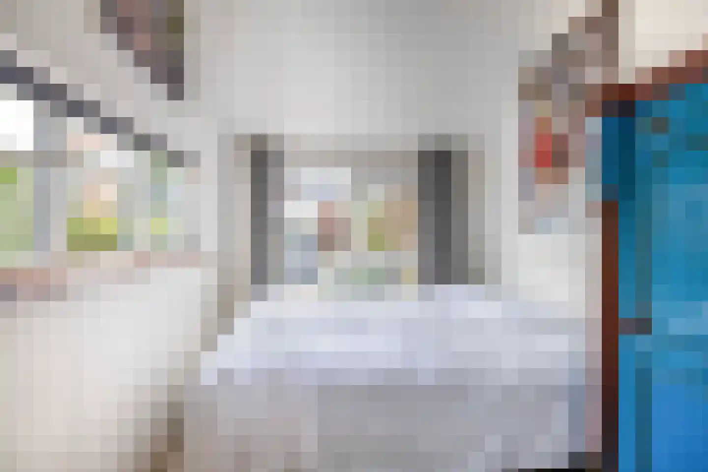 Bonfut 17 Berkel en Rodenrijs thumbnail 29