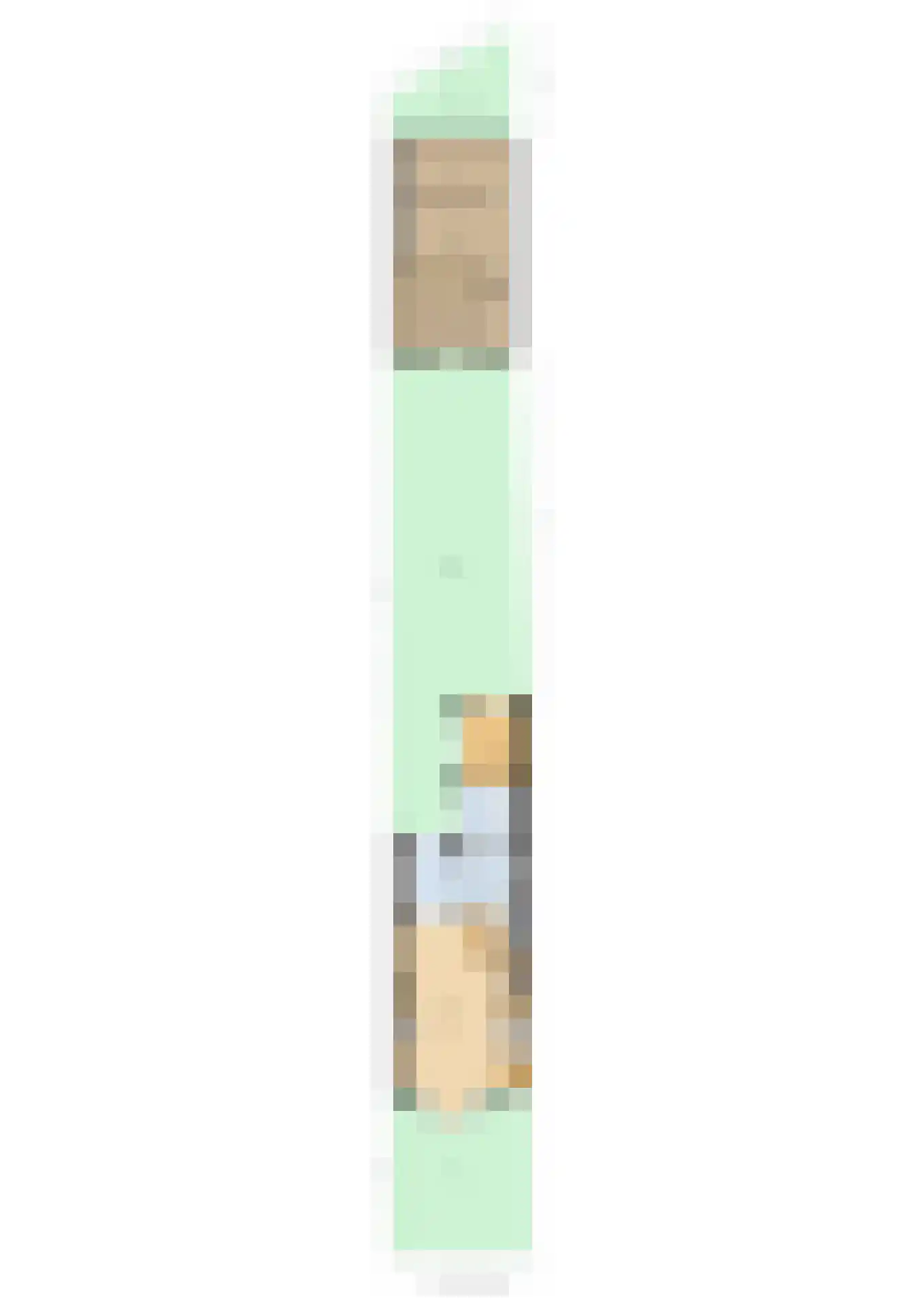 Bonfut 17 Berkel en Rodenrijs thumbnail 42