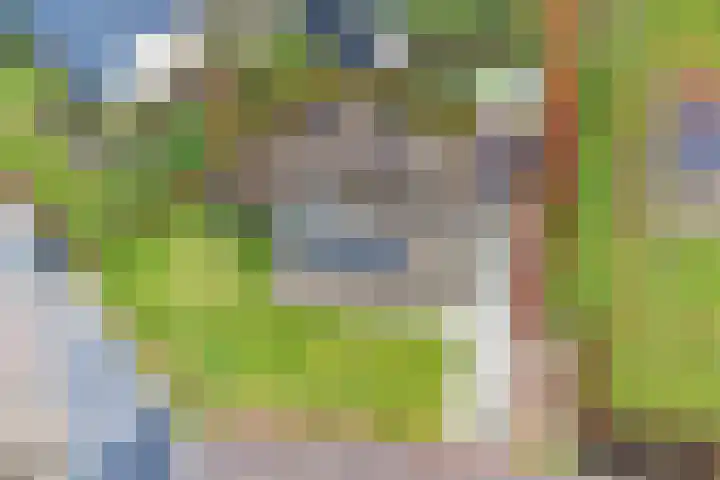 Bong 34 Baarlo thumbnail 21