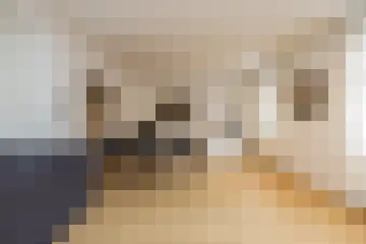 Bongaarderweg 8 Bocholtz thumbnail 13