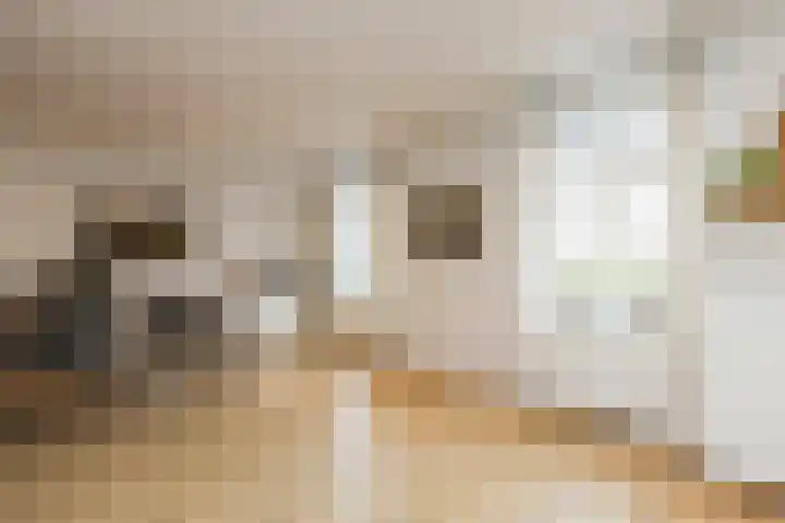 Bongaarderweg 8 Bocholtz thumbnail 14