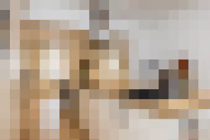 Bongaarderweg 8 Bocholtz thumbnail 21