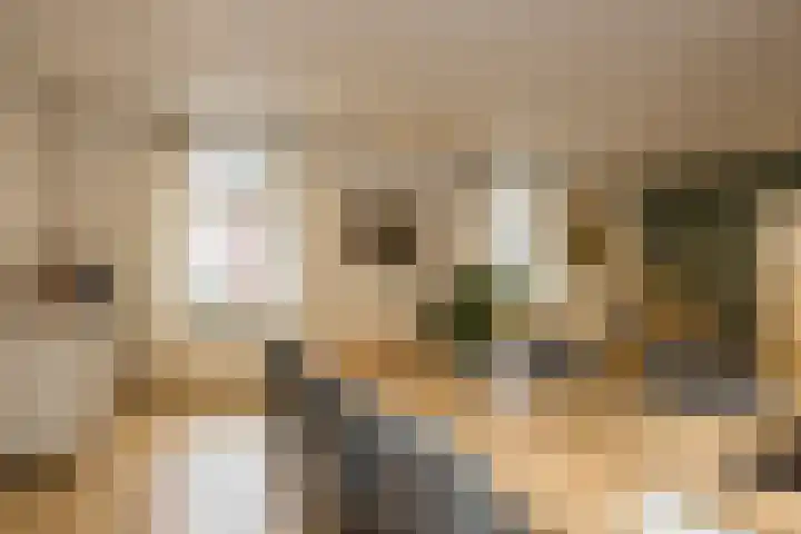 Bongaarderweg 8 Bocholtz thumbnail 22