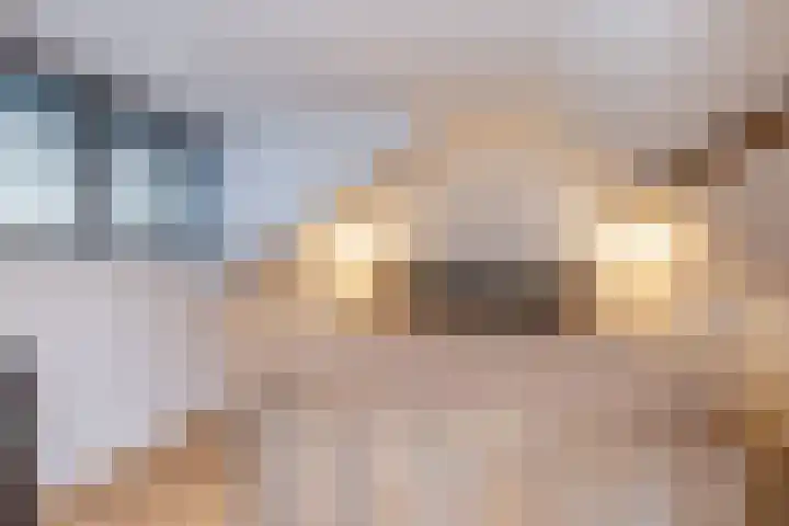 Bongaarderweg 8 Bocholtz thumbnail 36