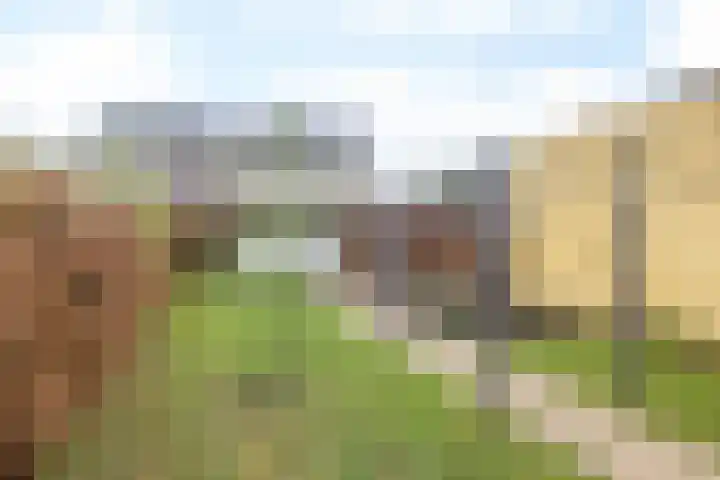 Bongaarderweg 8 Bocholtz thumbnail 40