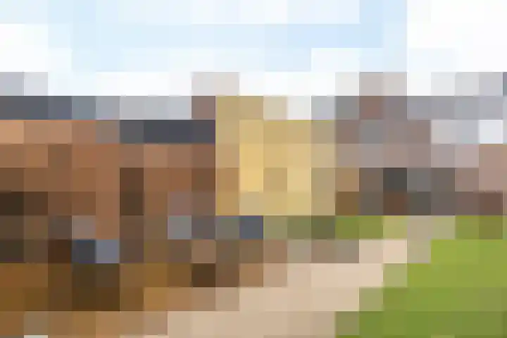 Bongaarderweg 8 Bocholtz thumbnail 41