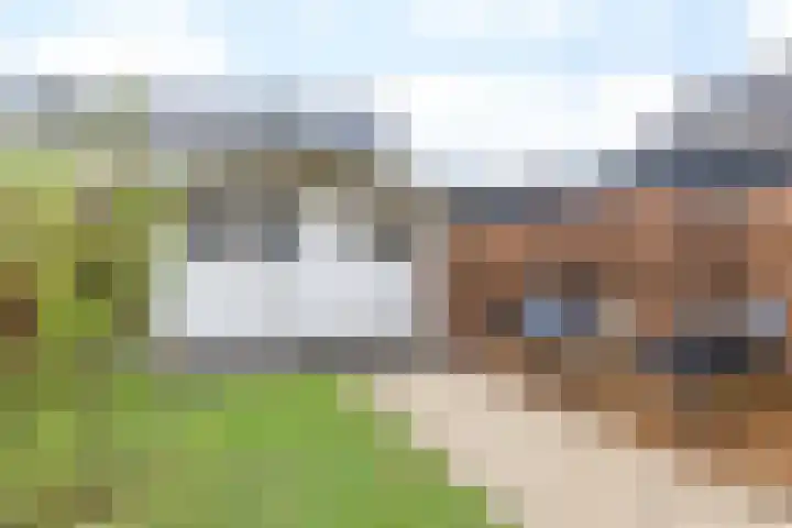 Bongaarderweg 8 Bocholtz thumbnail 42