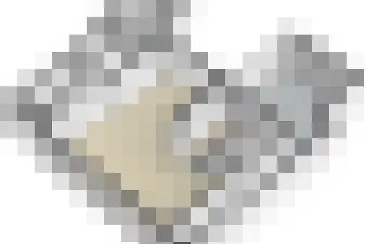 Bongaarderweg 8 Bocholtz thumbnail 47