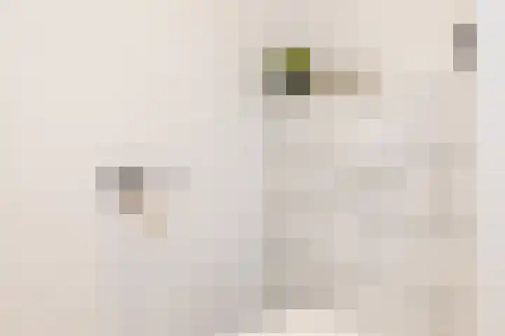 Bongaarderweg 8 Bocholtz thumbnail 6
