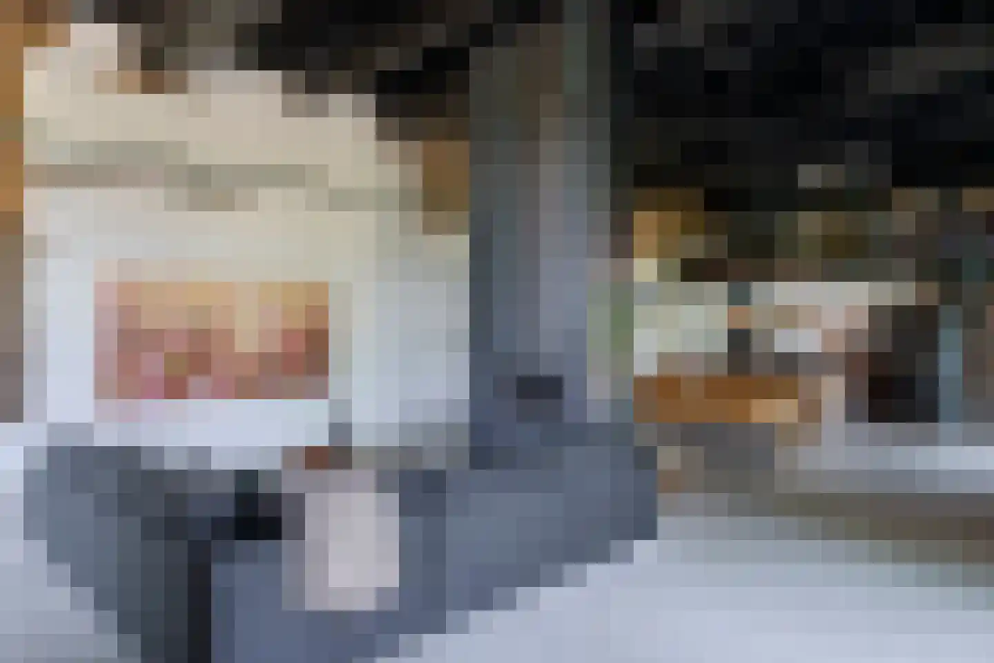 Bongard 3 a Wijnandsrade thumbnail 17