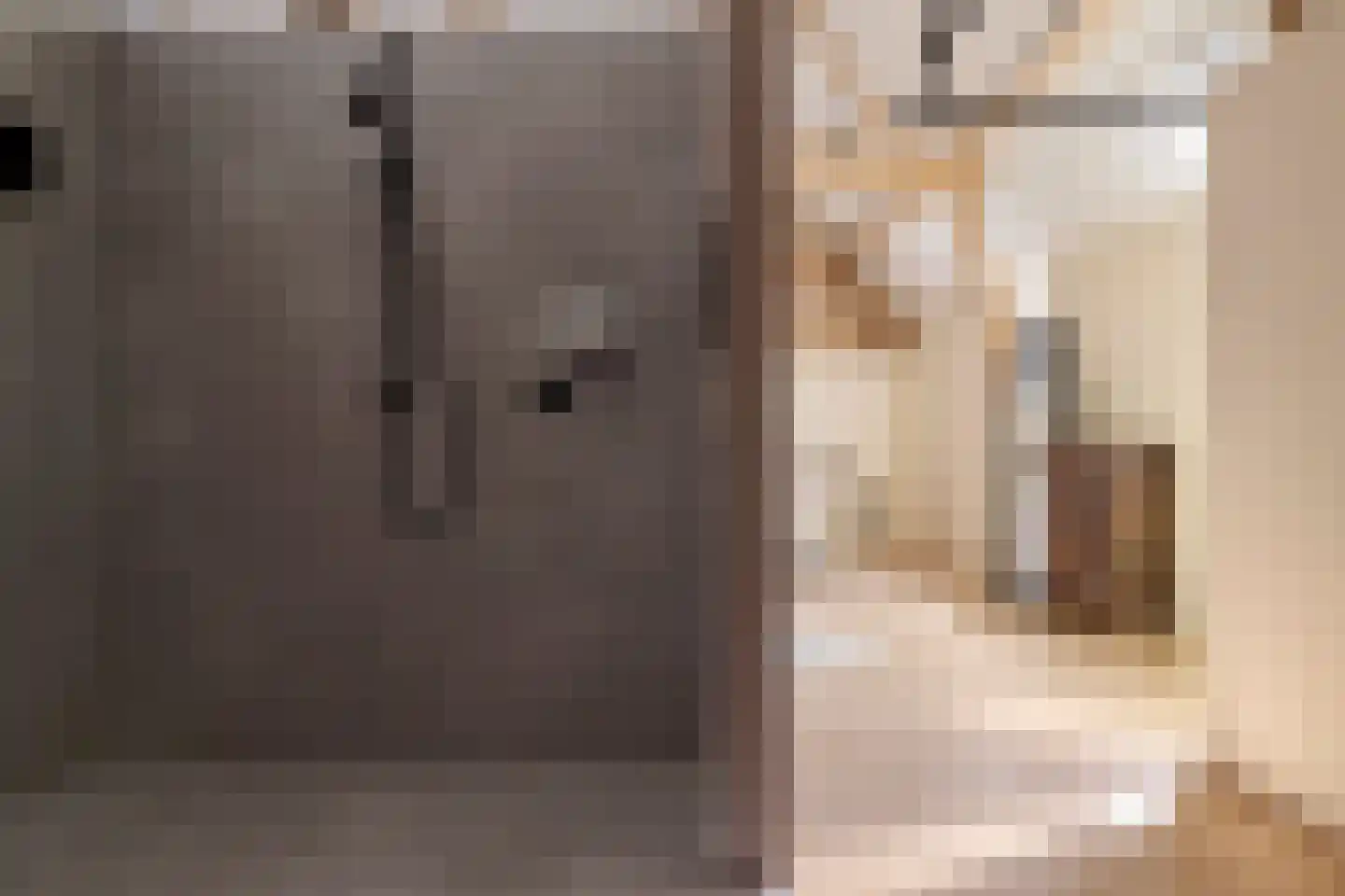 Bongard 3 a Wijnandsrade thumbnail 31