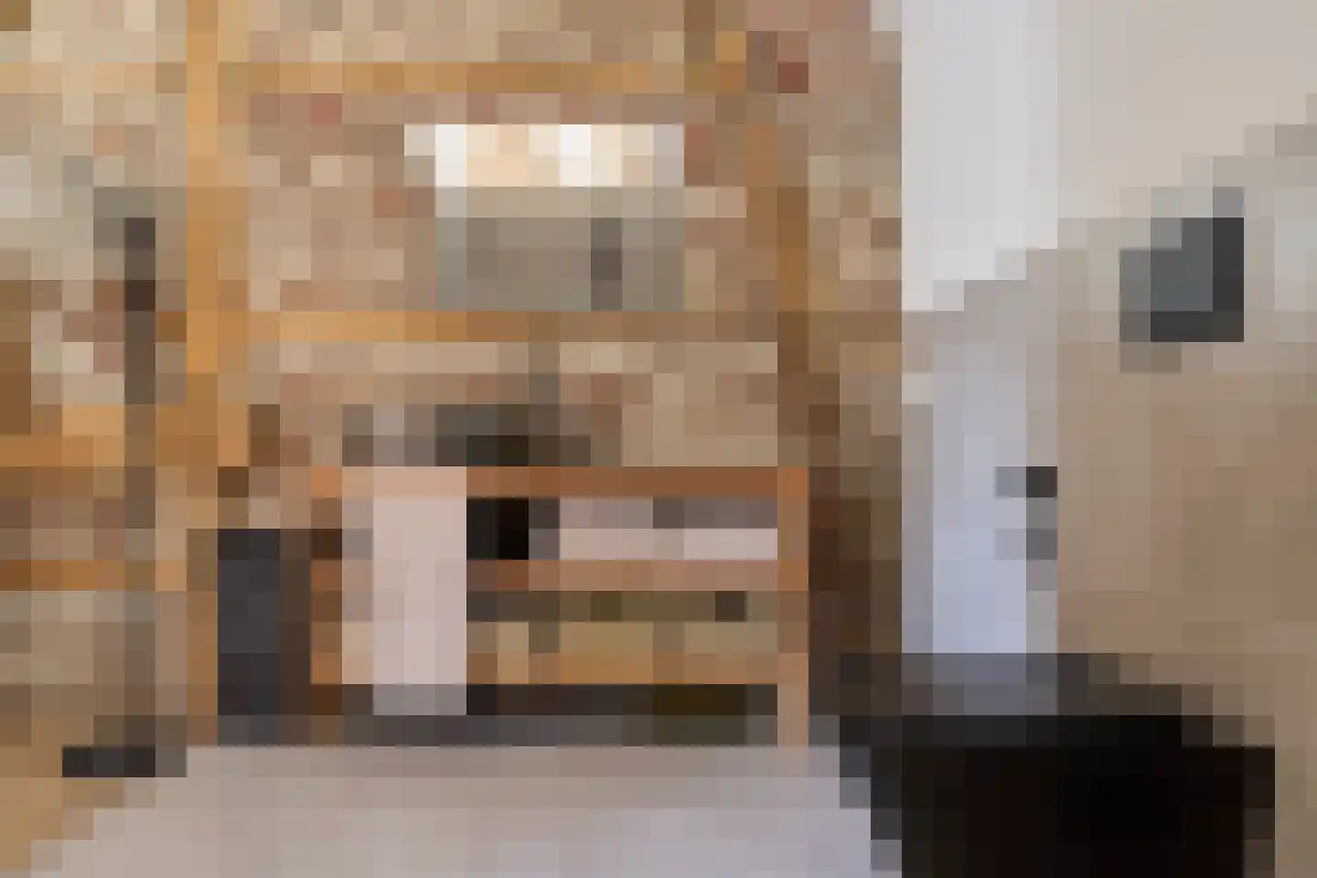 Bongard 3 a Wijnandsrade thumbnail 32