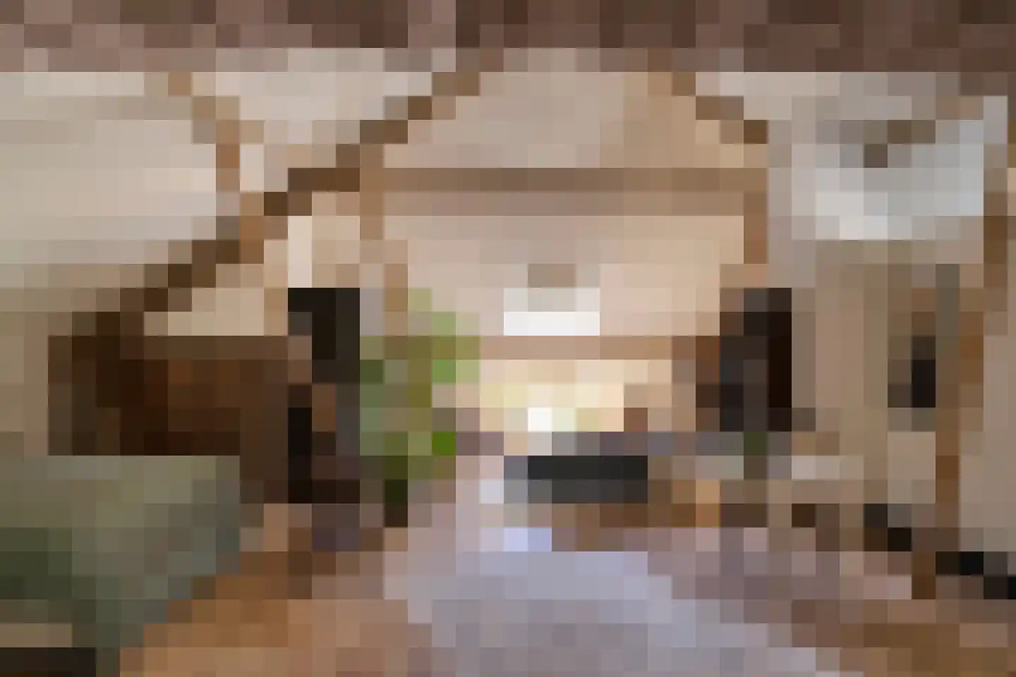 Bongard 3 a Wijnandsrade thumbnail 34