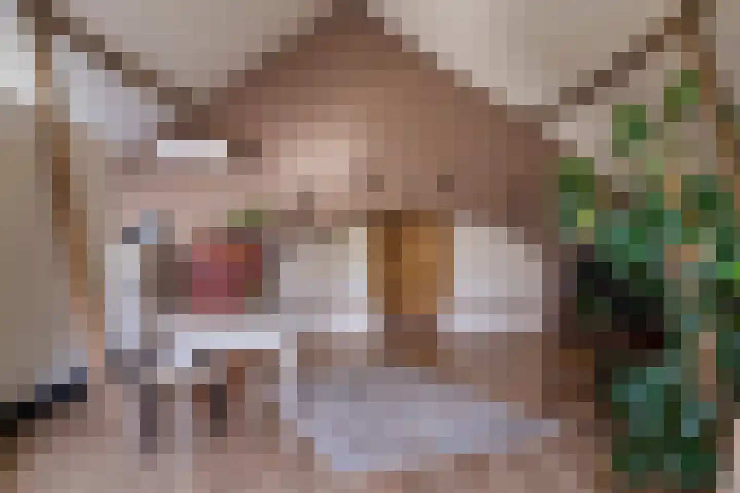 Bongard 3 a Wijnandsrade thumbnail 37