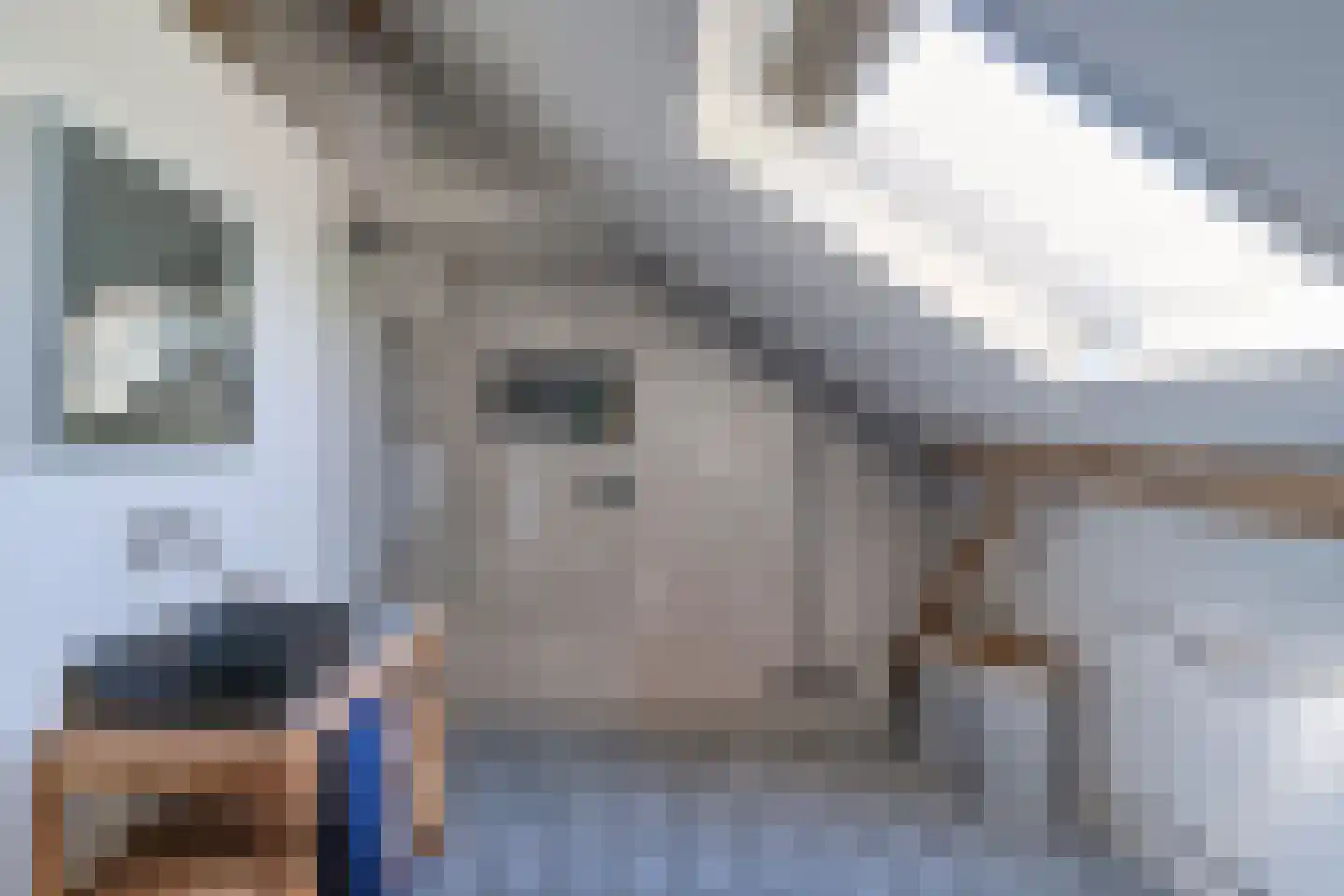 Bongard 3 a Wijnandsrade thumbnail 38