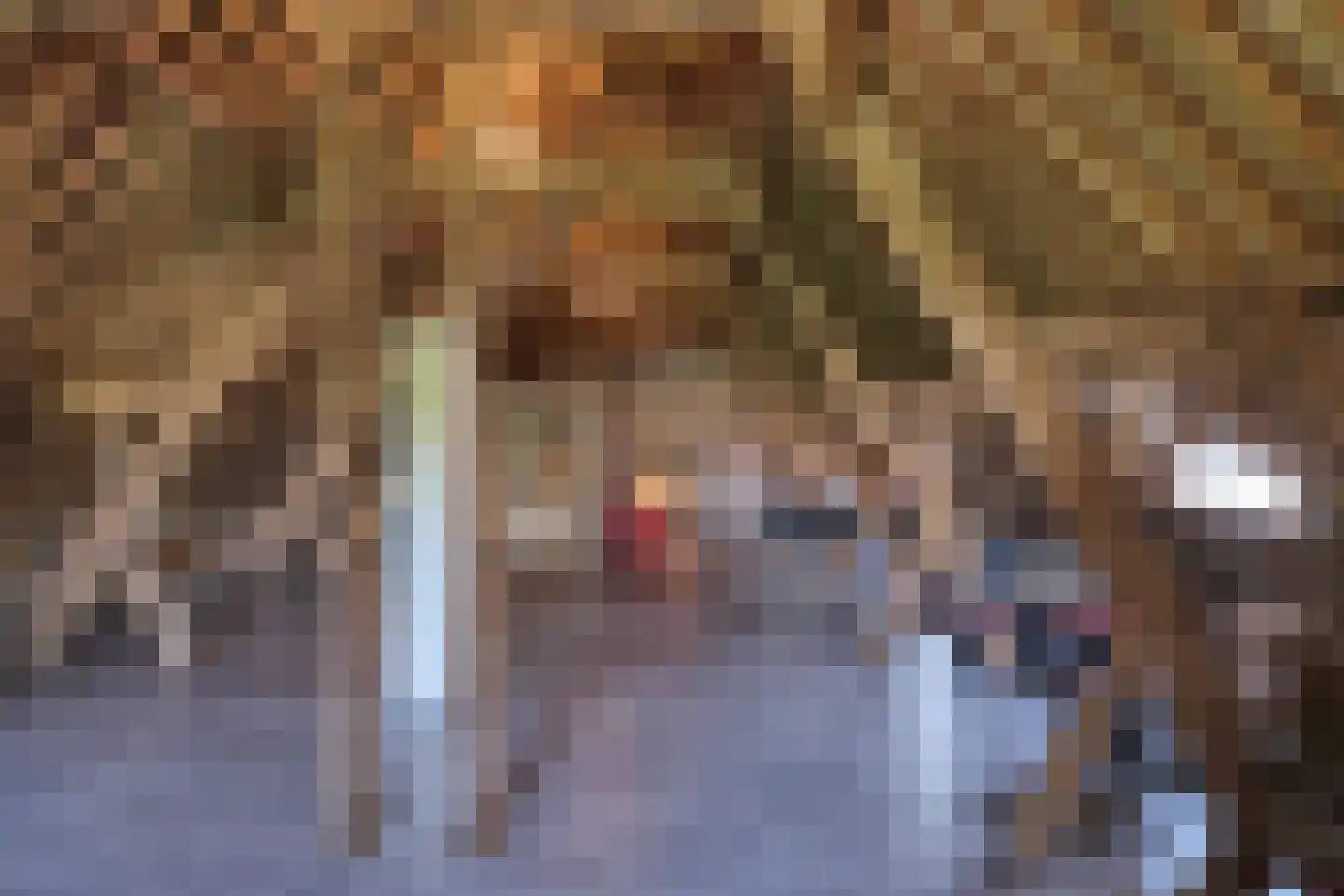 Bongard 3 a Wijnandsrade thumbnail 41