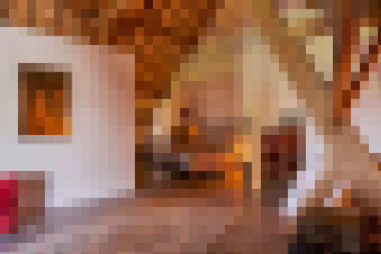 Bongard 3 a Wijnandsrade thumbnail 44