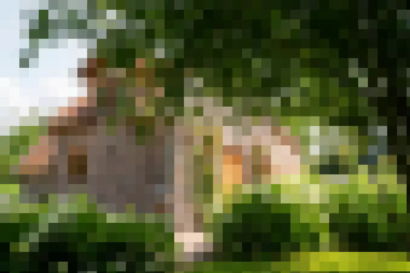 Bongard 3 a Wijnandsrade thumbnail 52