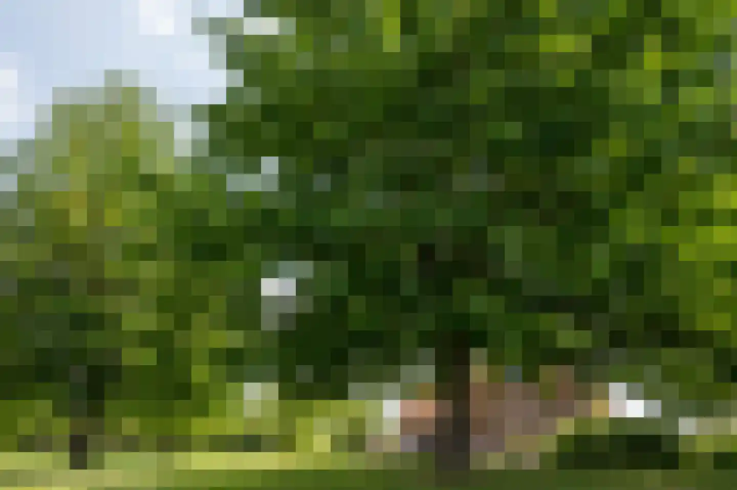 Bongard 3 a Wijnandsrade thumbnail 54