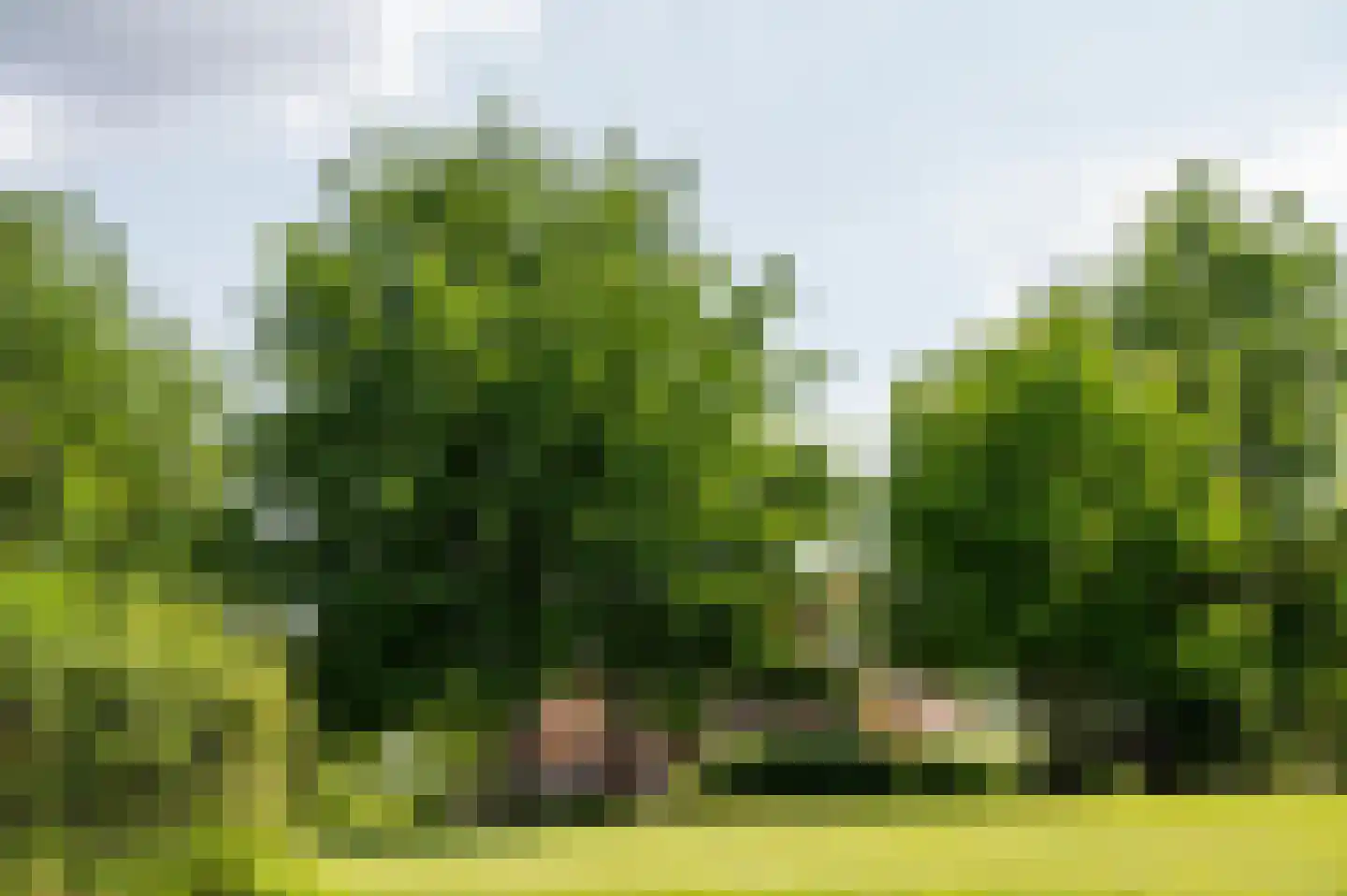 Bongard 3 a Wijnandsrade thumbnail 55