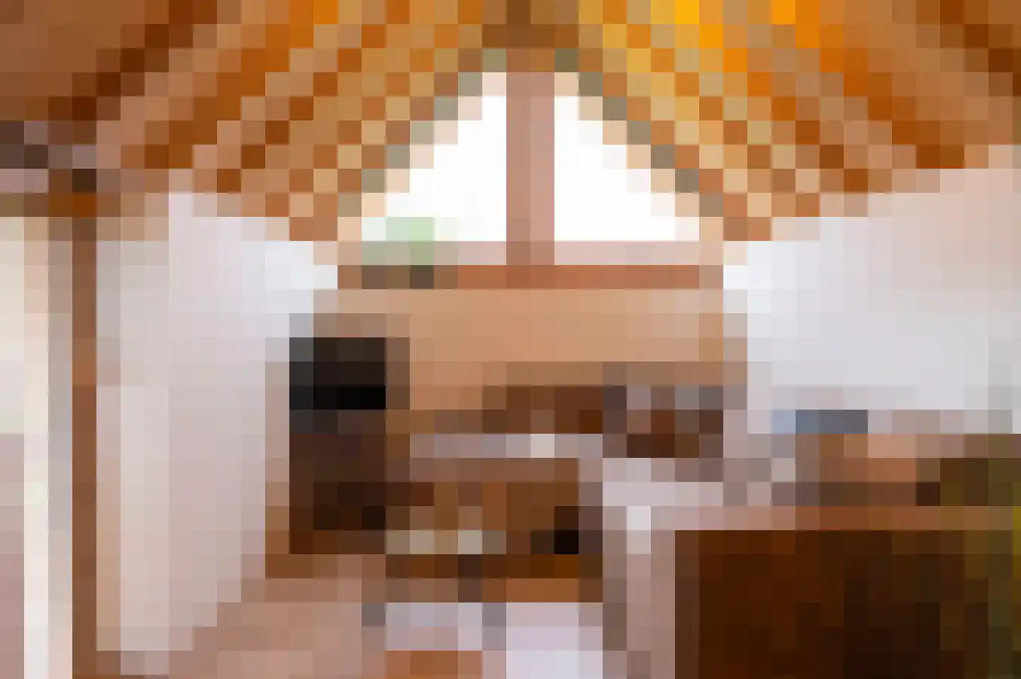 Bongard 3 a Wijnandsrade thumbnail 57