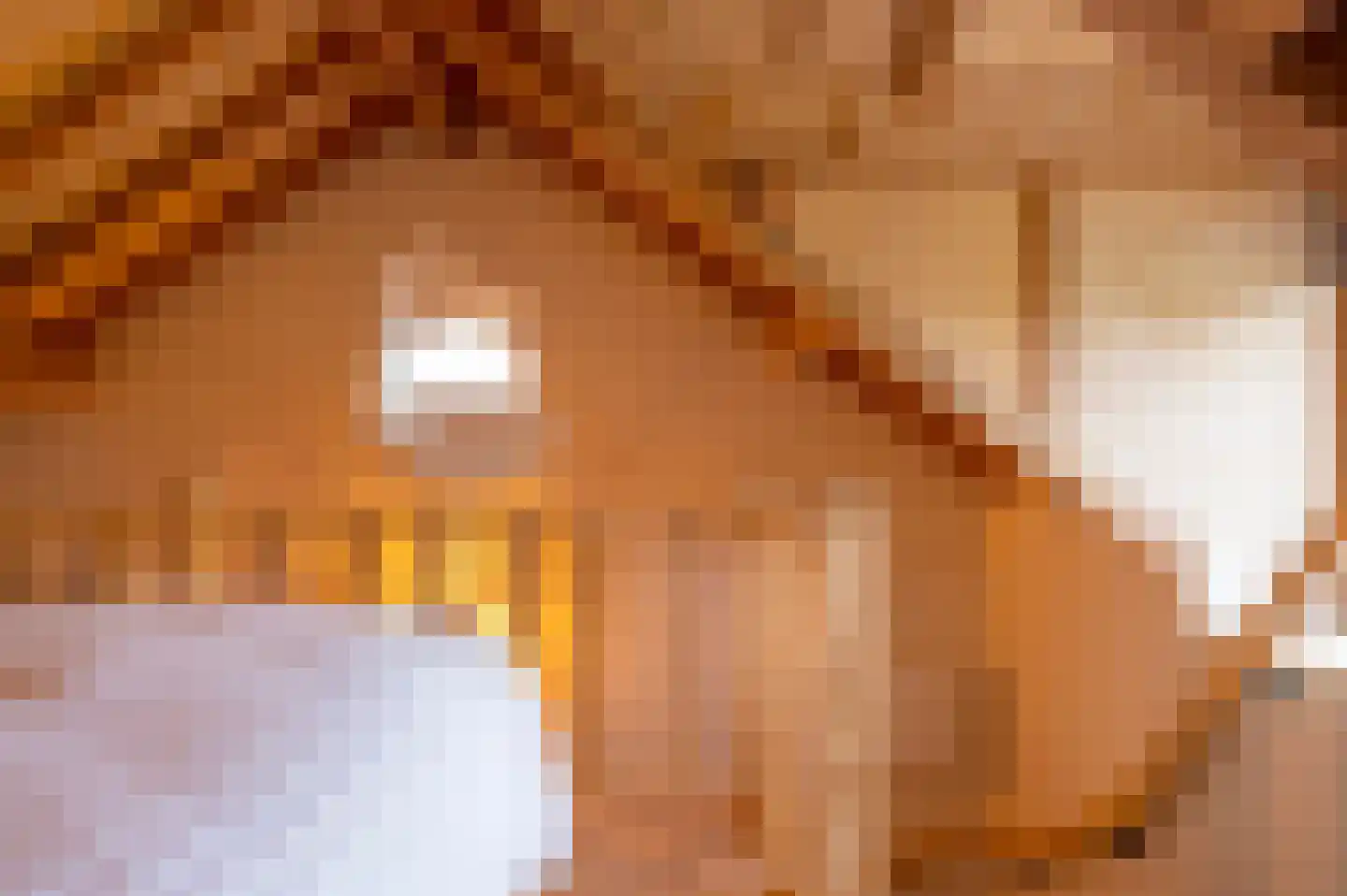 Bongard 3 a Wijnandsrade thumbnail 59