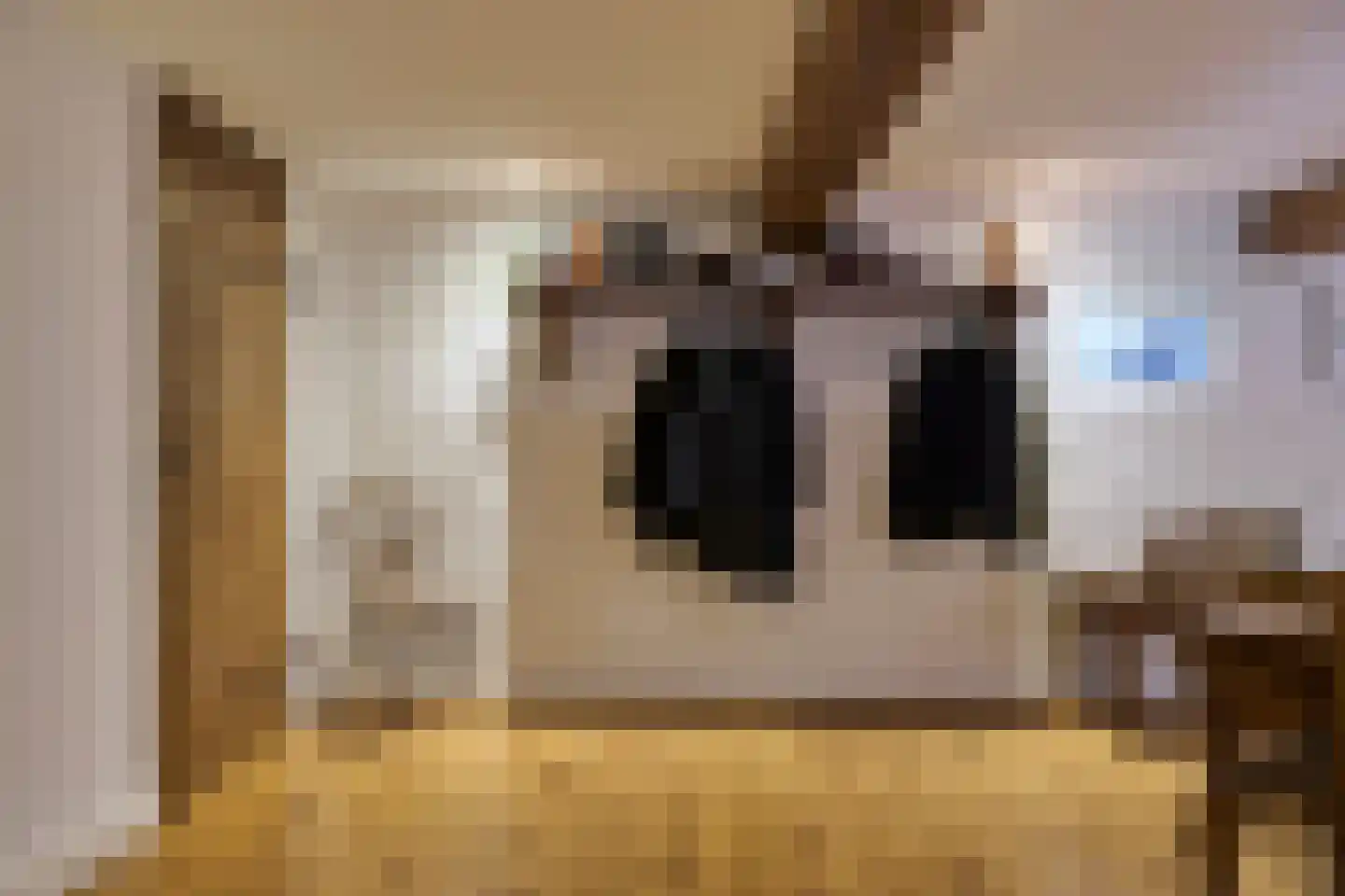 Bongard 3 a Wijnandsrade thumbnail 6