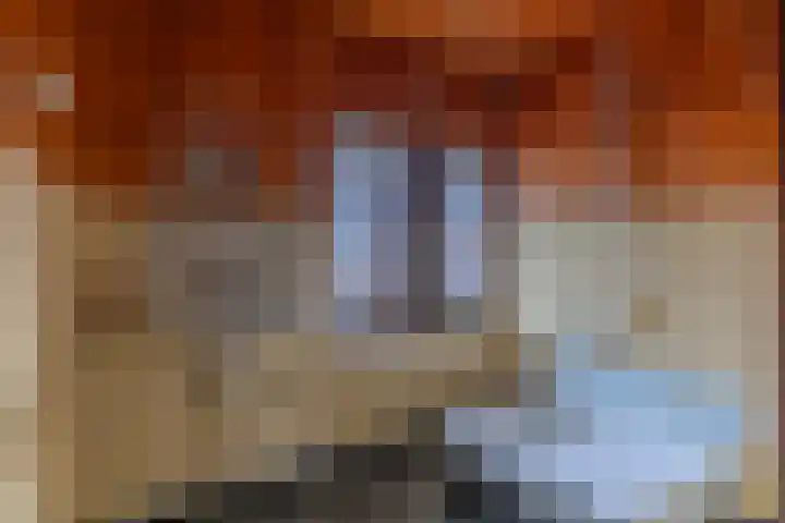 Bongartstraat 22 Eygelshoven thumbnail 19