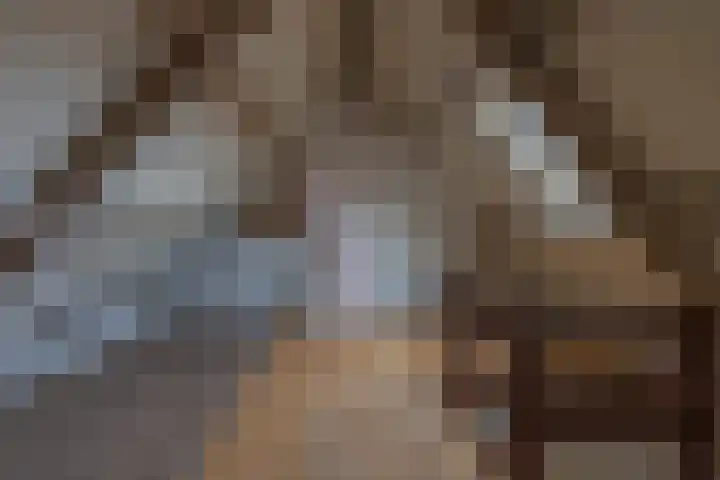 Bongartstraat 22 Eygelshoven thumbnail 21