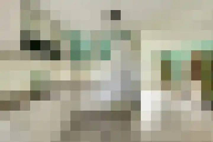 Bongastate 16 Leeuwarden thumbnail 19