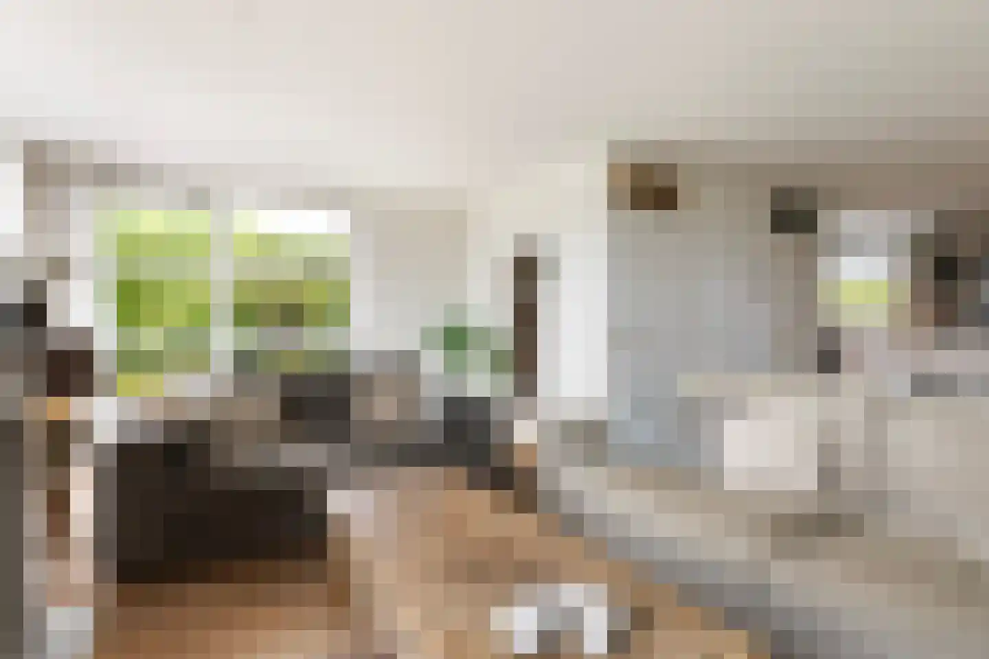 Bongel 32 Terherne thumbnail 20