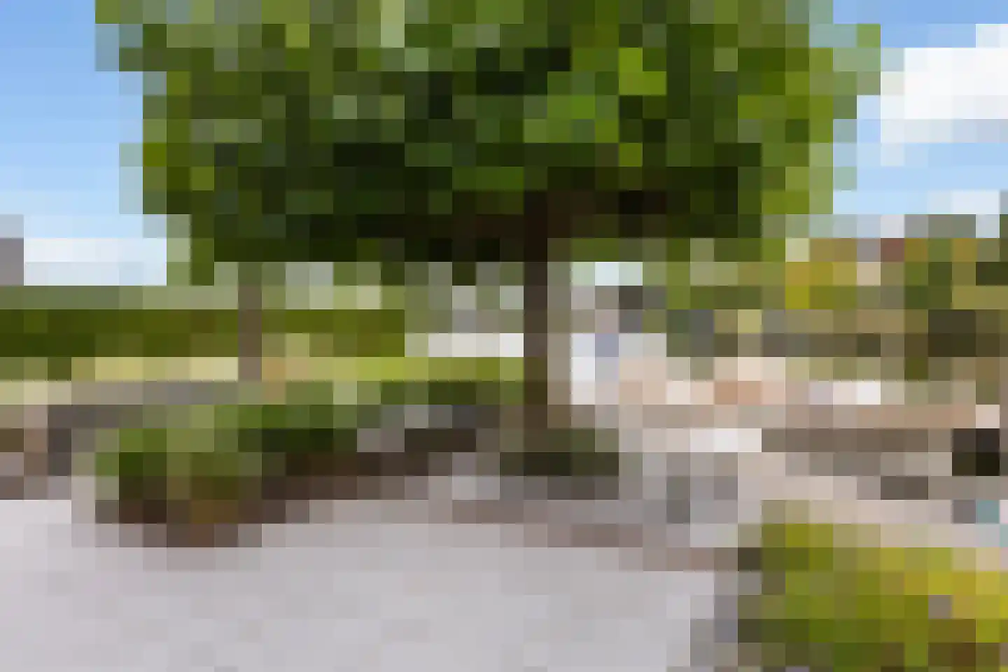 Bongel 32 Terherne thumbnail 23