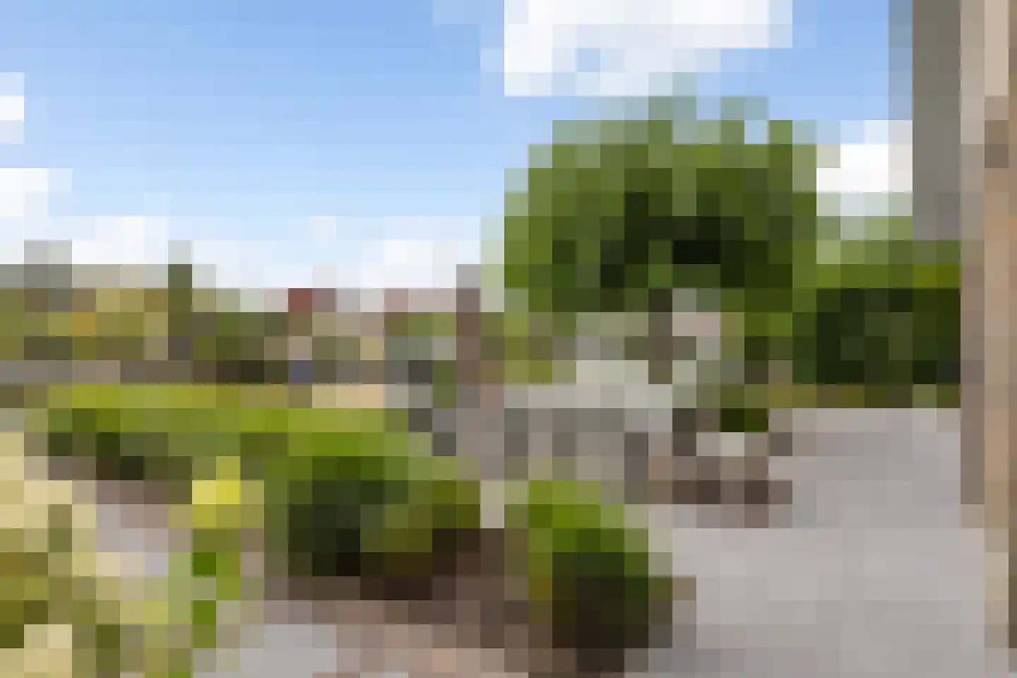 Bongel 32 Terherne thumbnail 31