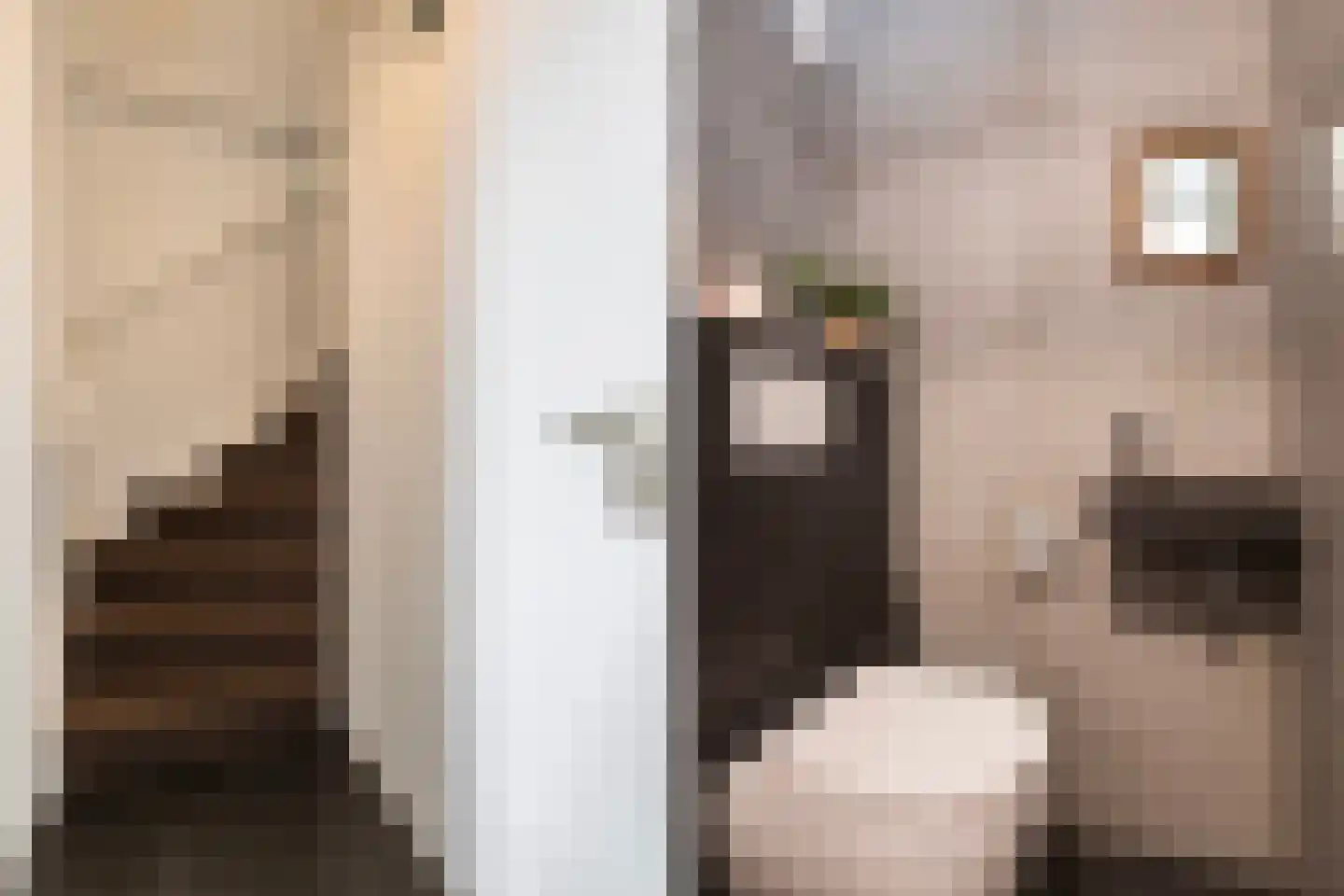 Bongel 32 Terherne thumbnail 36