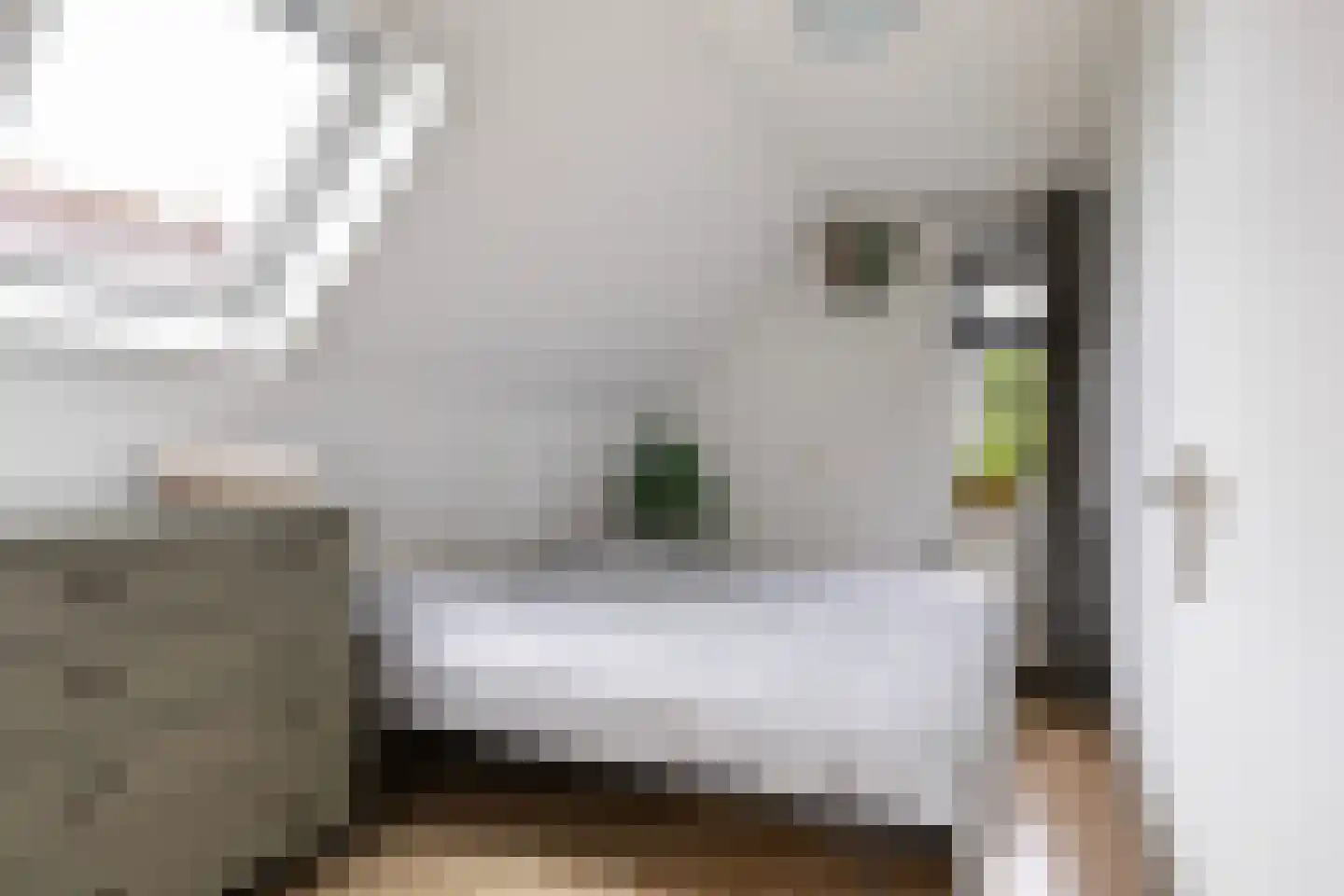 Bongel 32 Terherne thumbnail 37