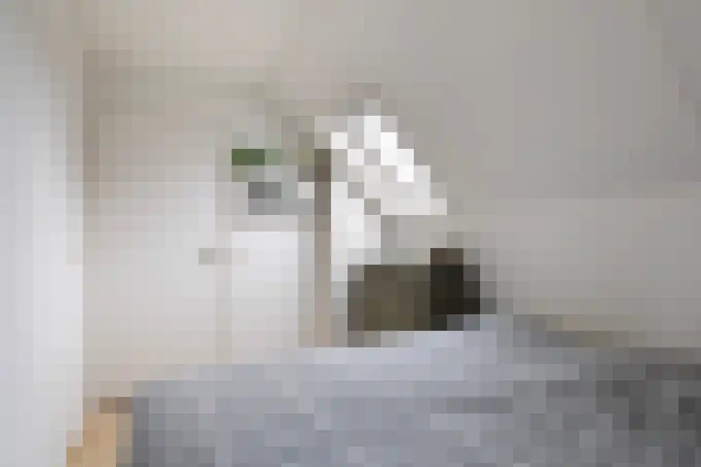Bongel 32 Terherne thumbnail 38