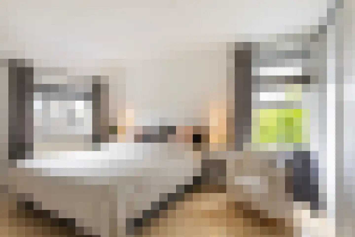 Bongel 32 Terherne thumbnail 42