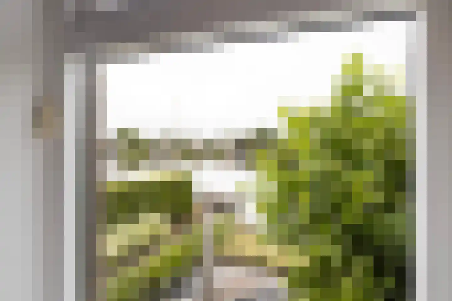 Bongel 32 Terherne thumbnail 43