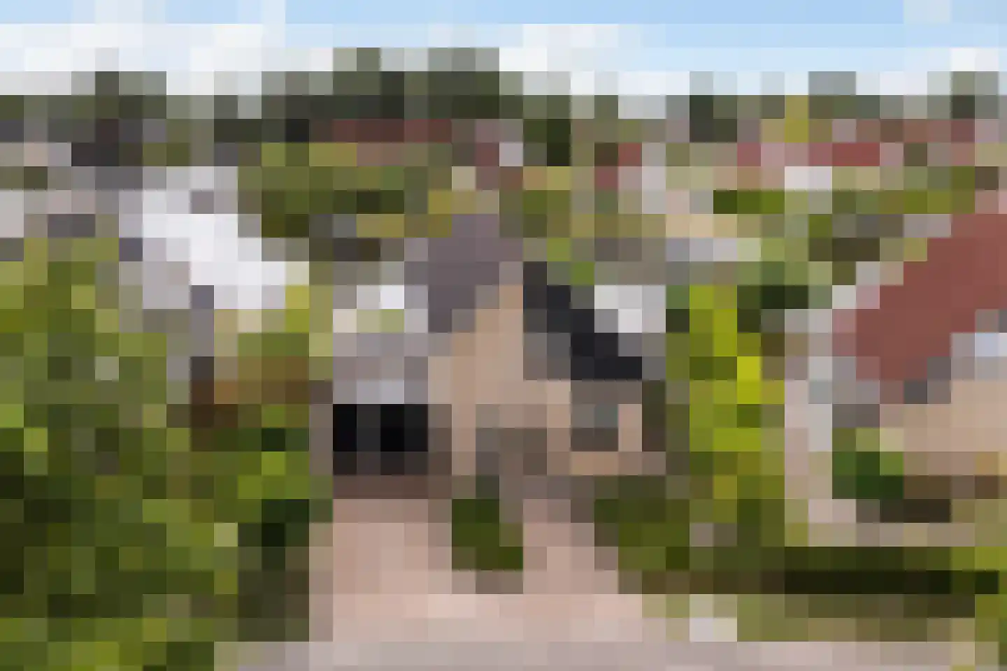 Bongel 32 Terherne thumbnail 52