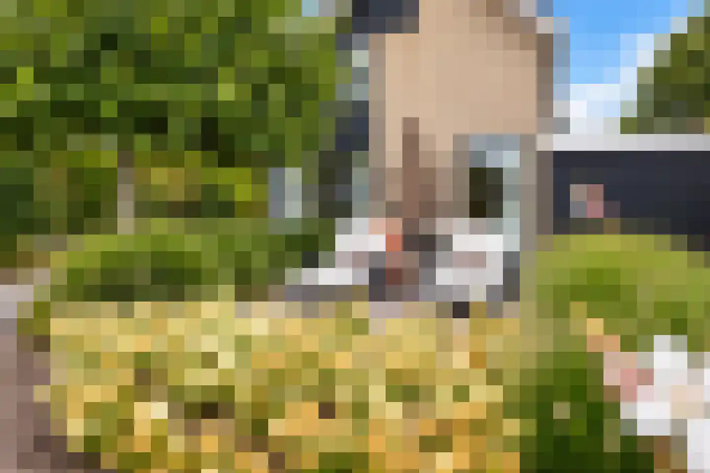 Bongel 32 Terherne thumbnail 57