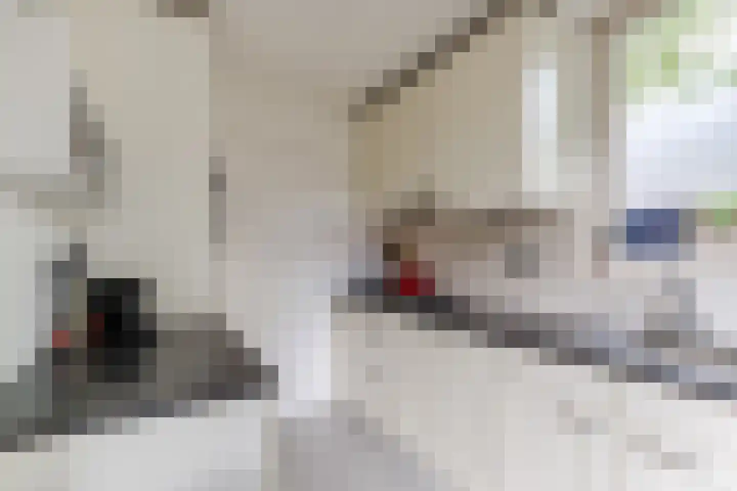 Bongelakker 104 Rijen thumbnail 18