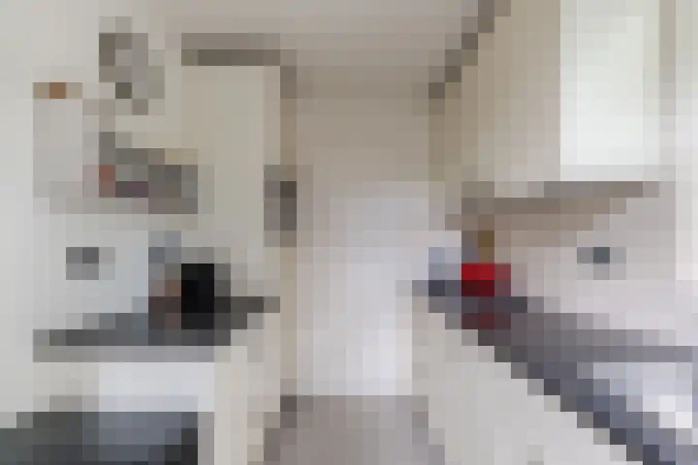 Bongelakker 104 Rijen thumbnail 19