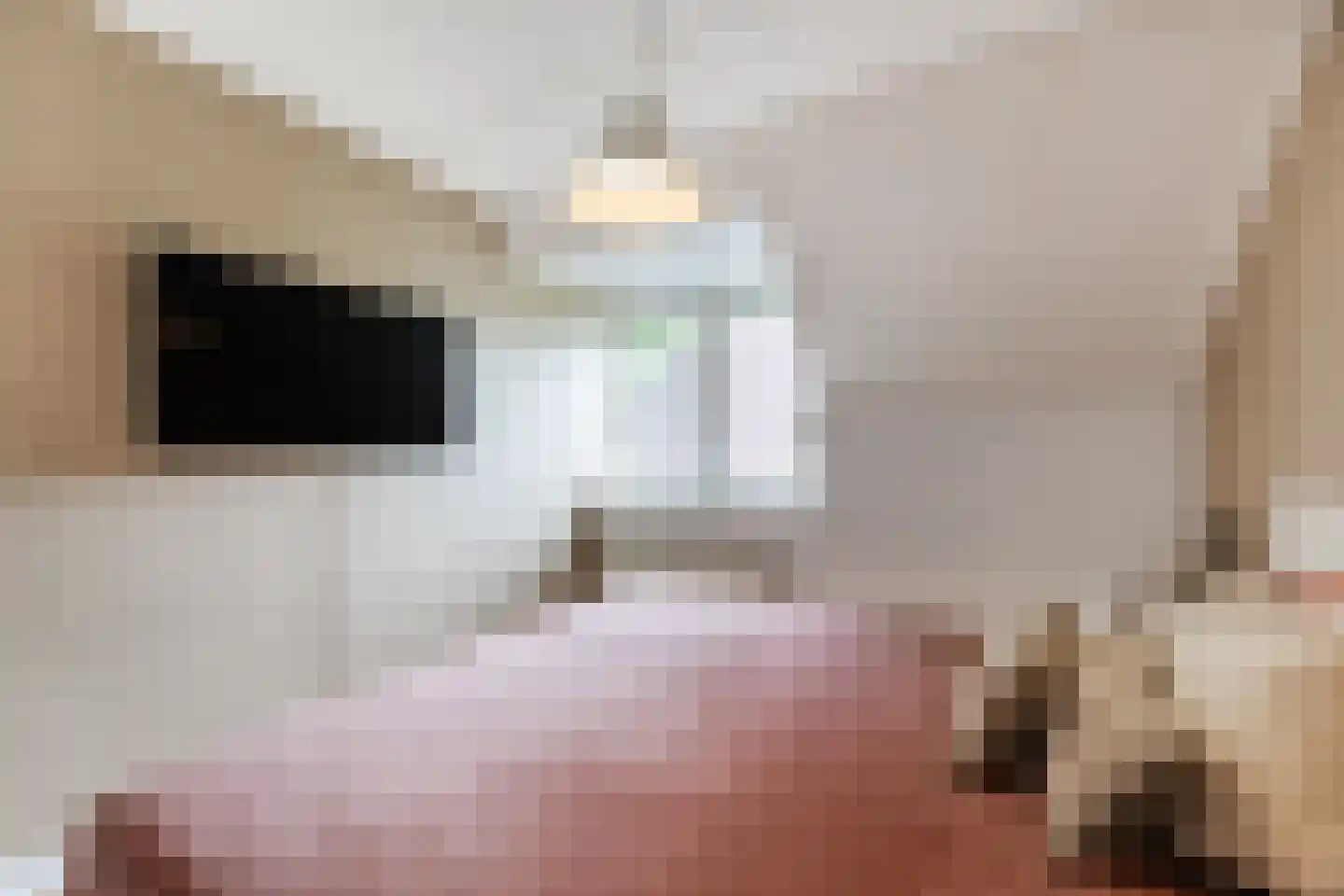 Bongelakker 104 Rijen thumbnail 29