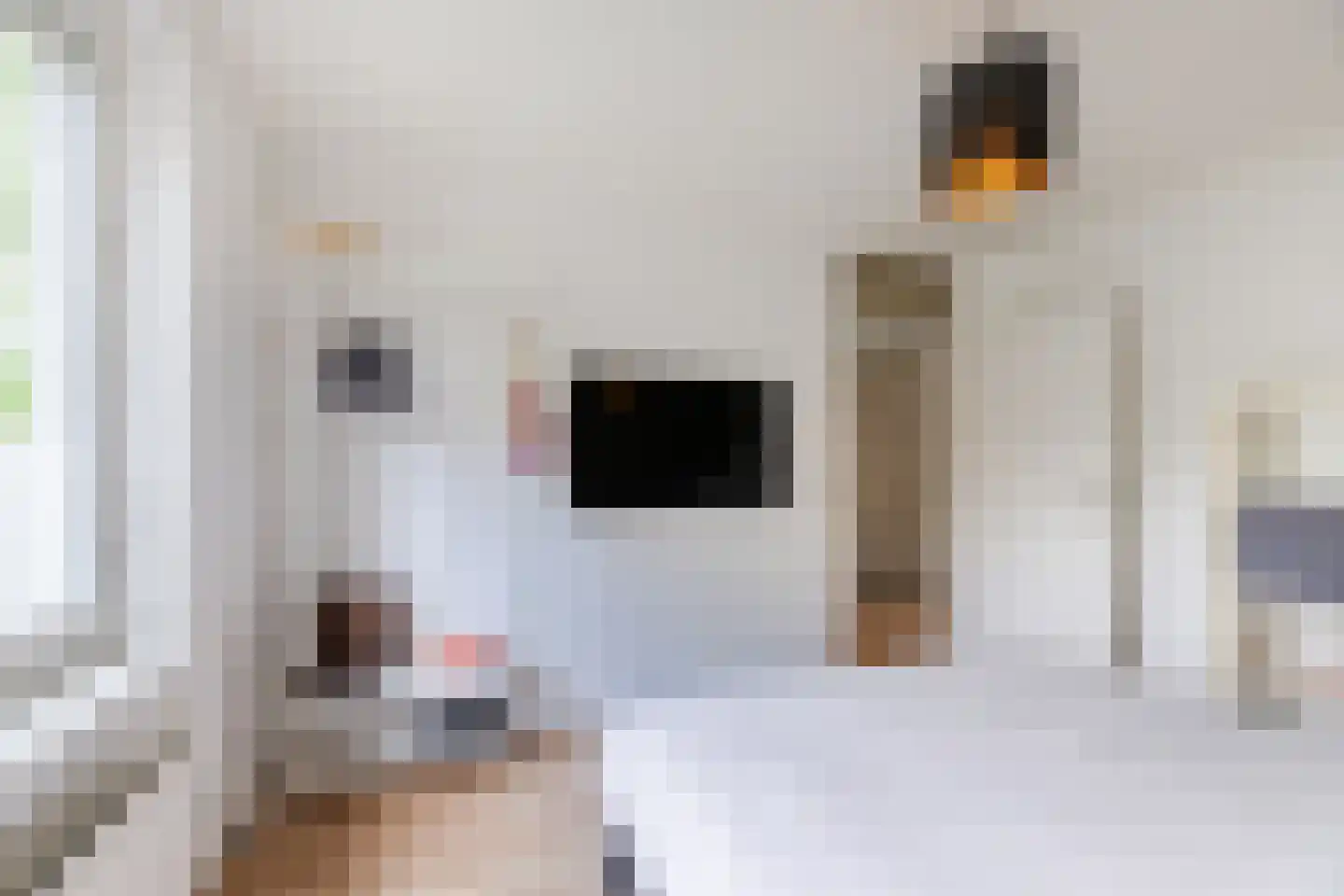 Bongelakker 104 Rijen thumbnail 32