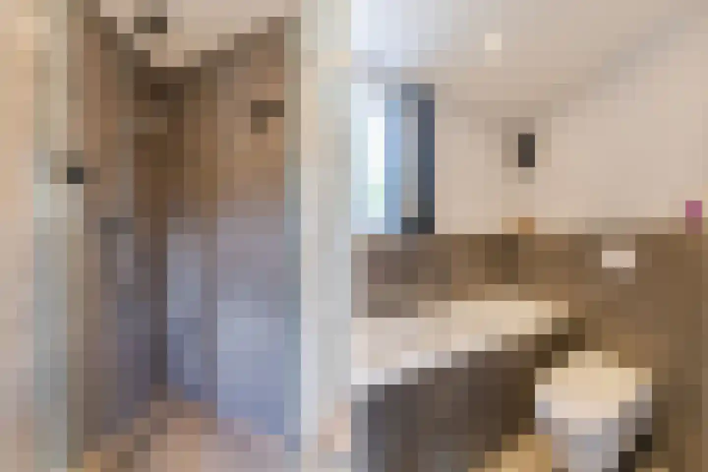 Bongelakker 104 Rijen thumbnail 37