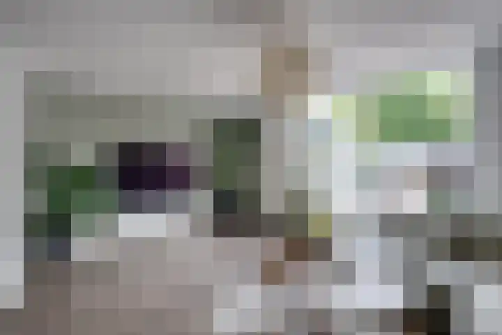 Bongelakker 19 Rijen thumbnail 10