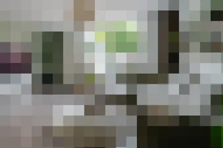 Bongelakker 19 Rijen thumbnail 11